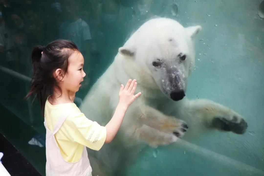 超值丨1大1小僅需258元，還送秦嶺野生動物園親子票